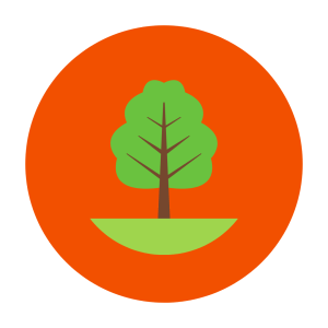 Tree icon - Learn2